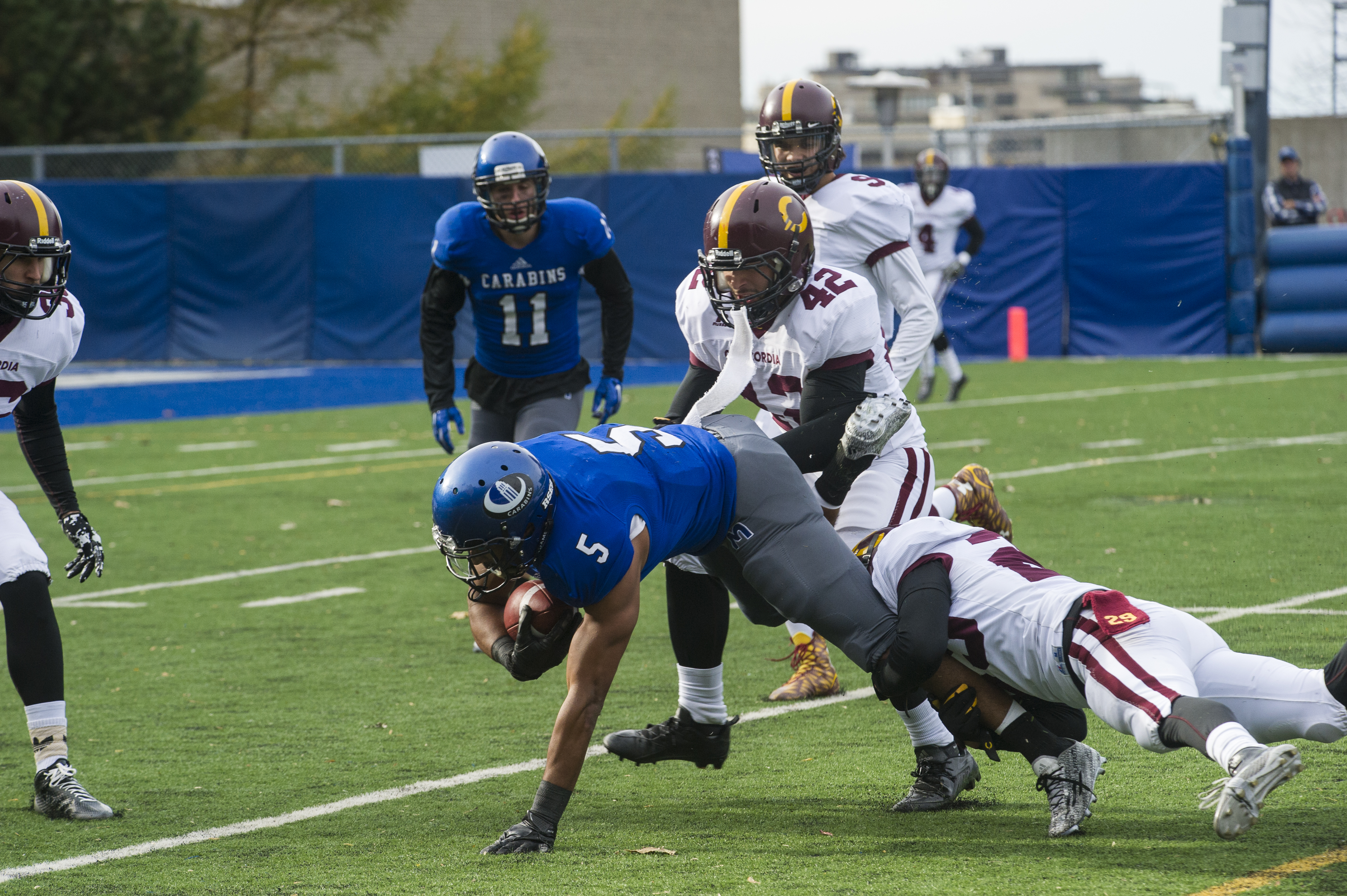 Stingers players tackle a Carabins ball-carrier near the sideline. Photo by Andrej Ivanov.