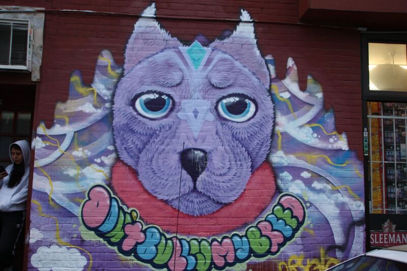 "Don't bully my breed" pit bull mural in the Plateau by artist Cryote. Photo by Savanna Craig.