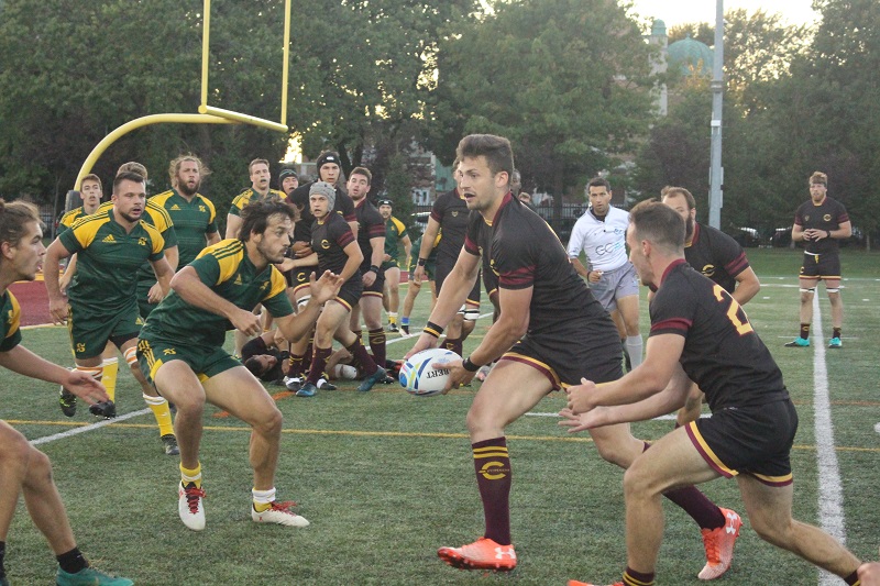 stingers men's rugby
