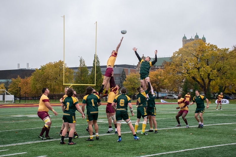stingers rugby