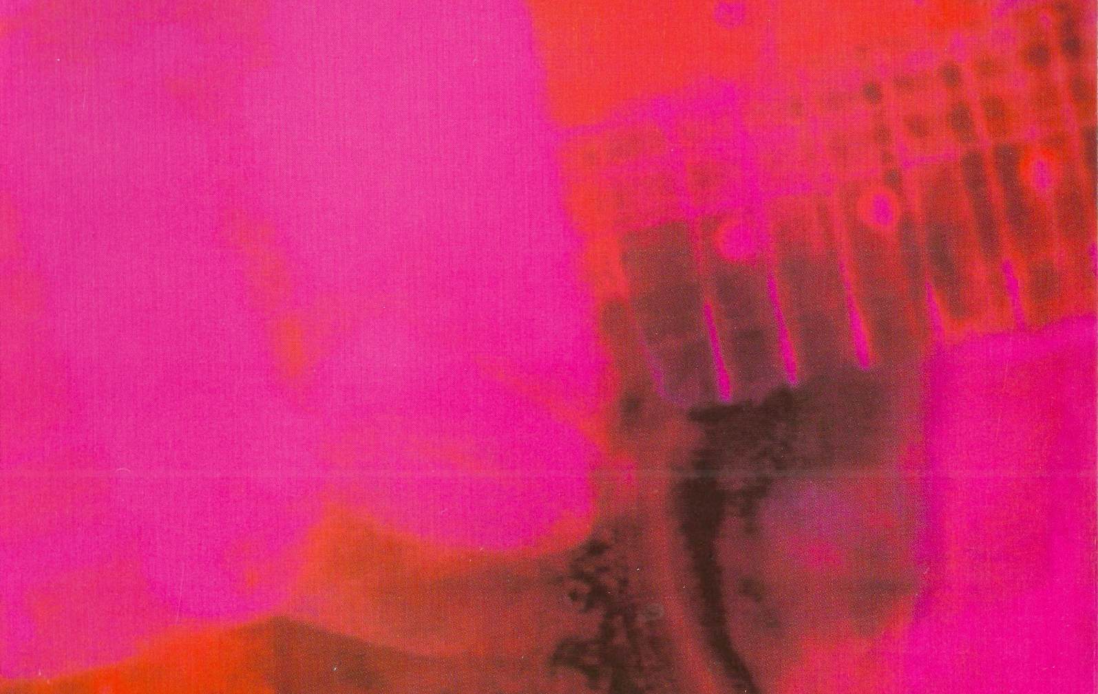 30 years of My Bloody Valentine's Loveless – The Concordian